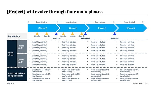 Private equity portfolio review roadmap showing phased workstreams, milestones, and operating partner checkpoints over 180 days